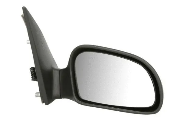 Exterior Mirror (5402-04-1121338P)