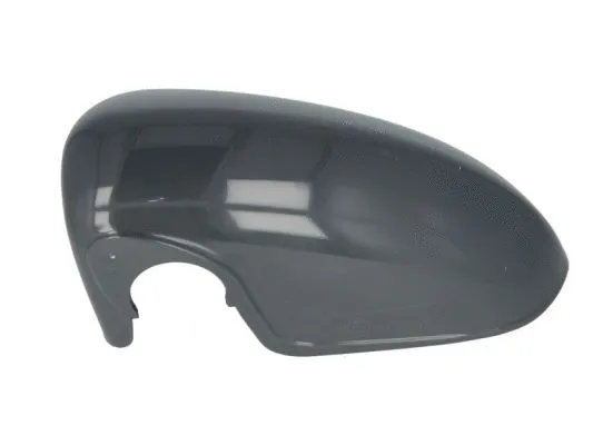 Housing, exterior mirror (6103-01-1321222P)