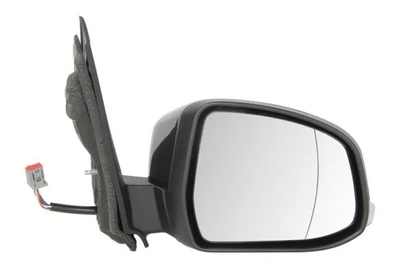 Exterior Mirror (5402-03-2001194P)