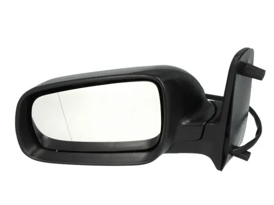 Exterior Mirror (5402-04-1125139)