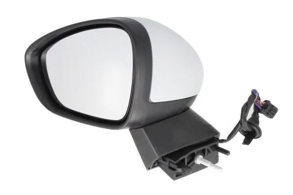 Exterior Mirror (5402-21-042361P)