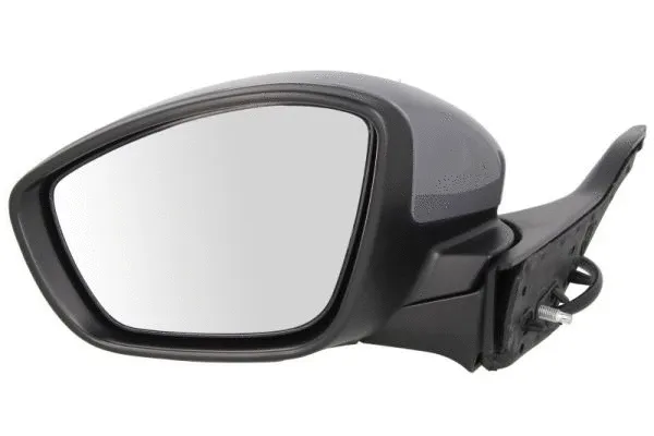 Exterior Mirror (5402-08-2002053P)