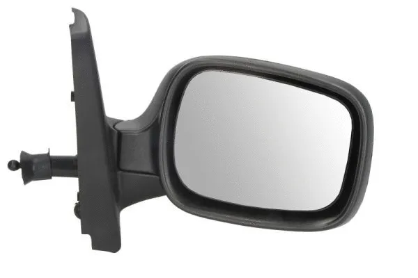 Exterior Mirror (5402-04-9215172P)