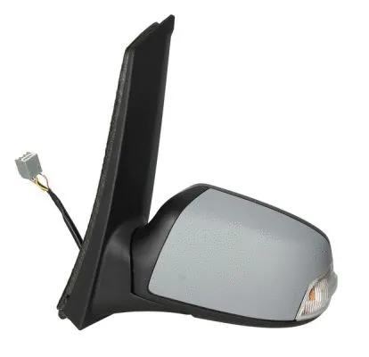 Exterior Mirror (5402-04-9221398P)