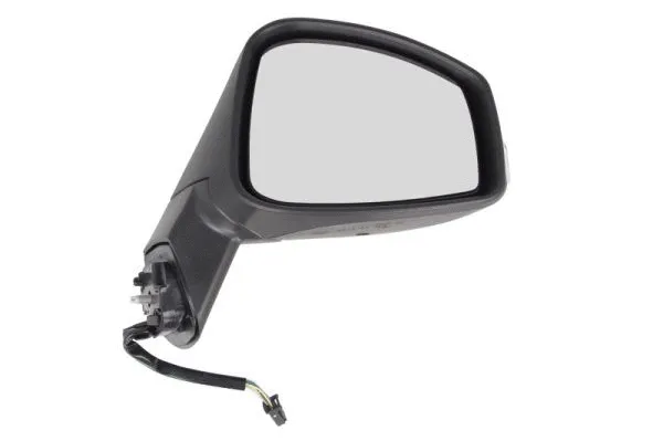 Exterior Mirror (5402-09-2002156P)
