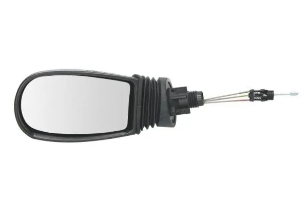 Exterior Mirror (5402-04-1117329P)