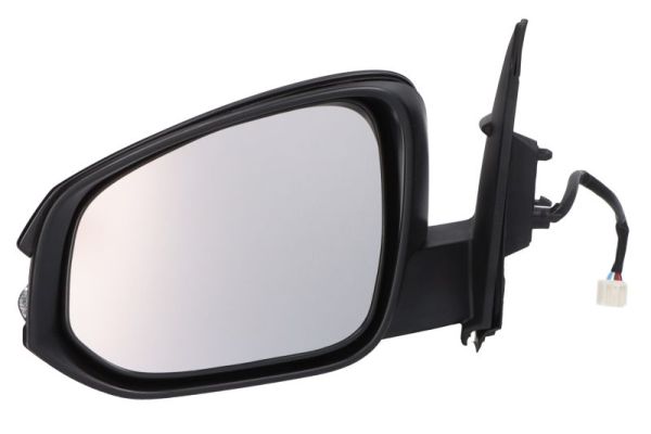 Exterior Mirror (5402-19-2002537P)