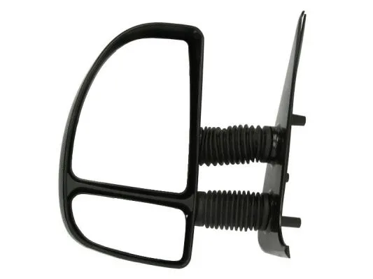 Exterior Mirror (5402-04-9251911P)