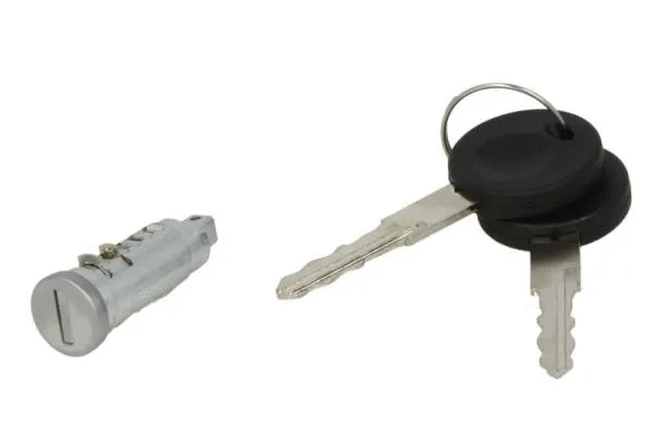 Door Lock (6010-01-013427P)