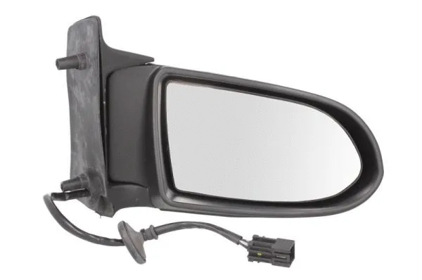 Exterior Mirror (5402-04-2002042P)