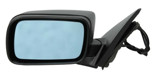 Exterior Mirror (5402-04-1125829)
