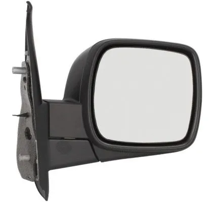 Exterior Mirror (5402-04-1121568P)