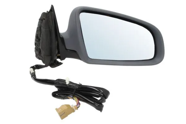 Exterior Mirror (5402-04-1119525P)
