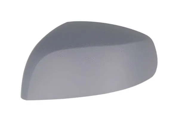 Housing, exterior mirror (6103-04-2001975P)