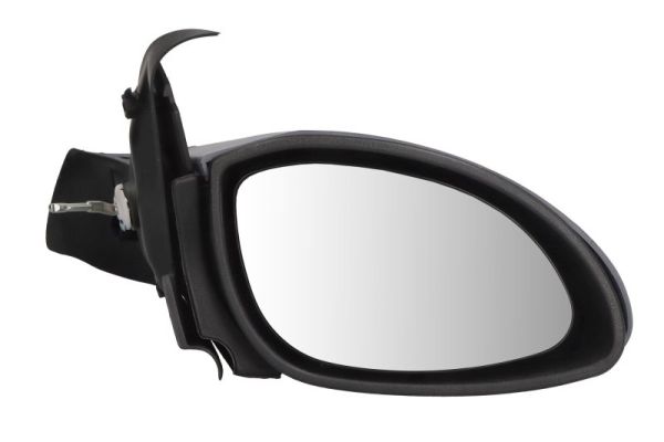 Exterior Mirror (5402-04-1115233P)