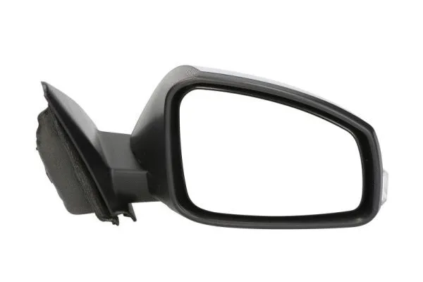 Exterior Mirror (5402-09-2002178P)