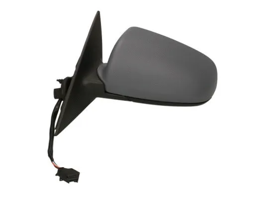 Exterior Mirror (5402-04-1125798)