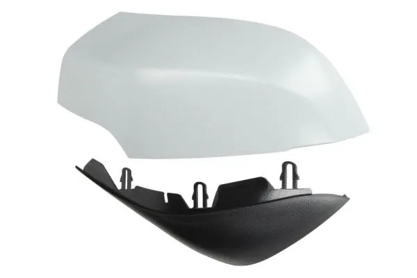 Housing, exterior mirror (6103-09-2002152P)