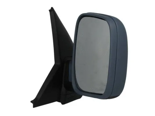 Exterior Mirror (5402-04-9229985)