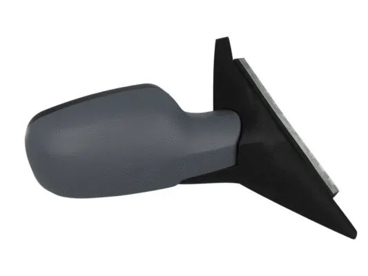Exterior Mirror