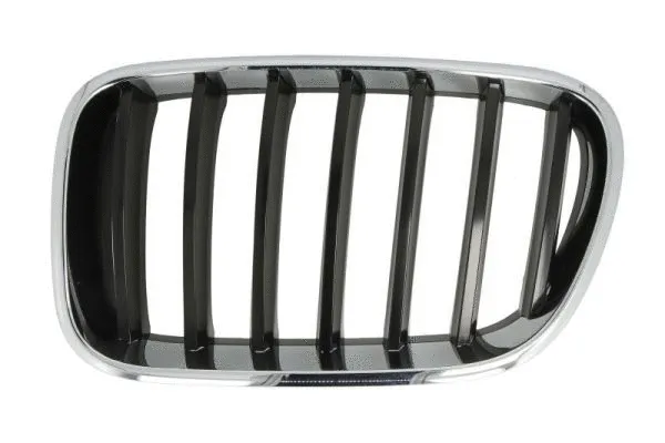 Radiator Grille (6502-07-00939970P)