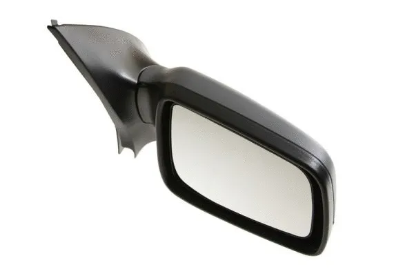 Exterior Mirror (5402-04-1121242P)