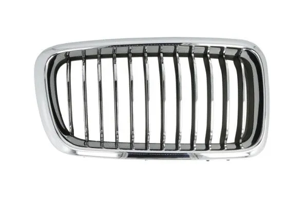 Radiator Grille (6502-07-0075996PP)