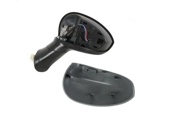 Exterior Mirror (5402-04-1131527)