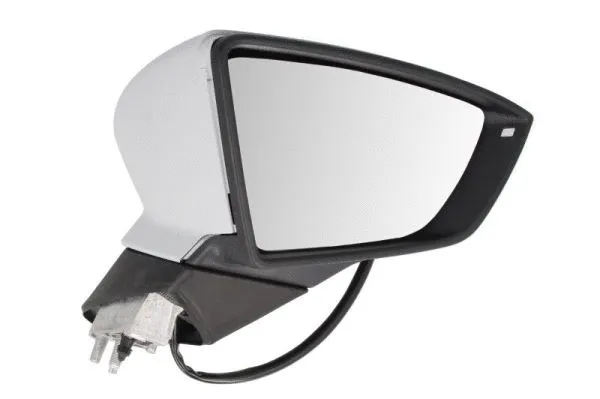 Exterior Mirror (5402-10-2002306P)