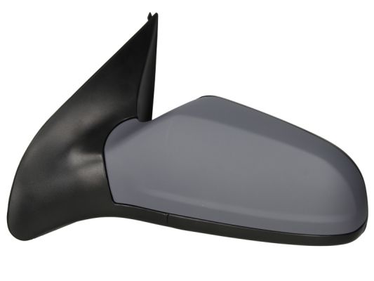 Exterior Mirror (5402-04-1139235P)