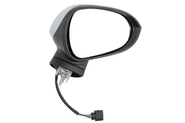 Exterior Mirror (5402-10-2002298P)