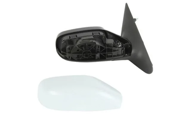 Exterior Mirror (5402-04-1121235P)