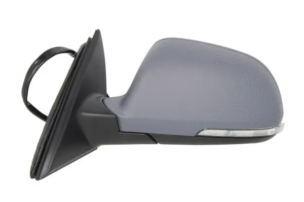Exterior Mirror (5402-43-2002367P)