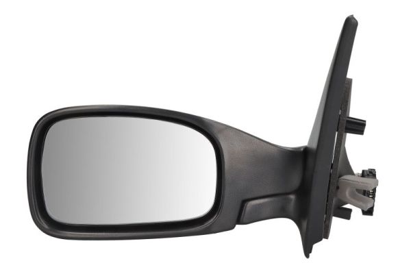 Exterior Mirror (5402-04-1125291P)