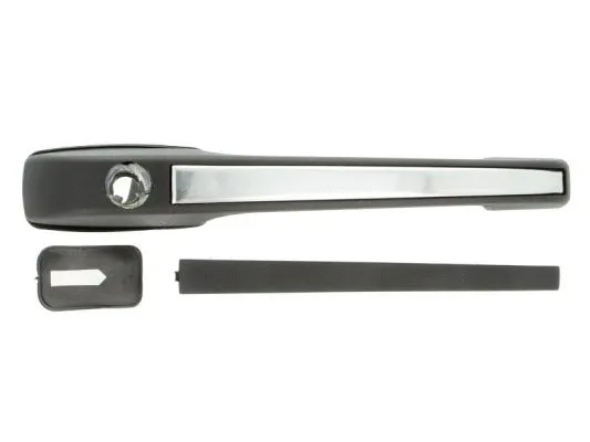 Exterior Door Handle (6010-01-011401P)