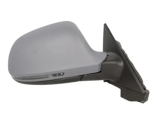 Exterior Mirror