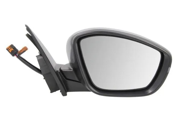 Exterior Mirror (5402-08-2002080P)