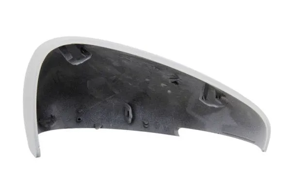 Housing, exterior mirror (6103-21-2001098P)