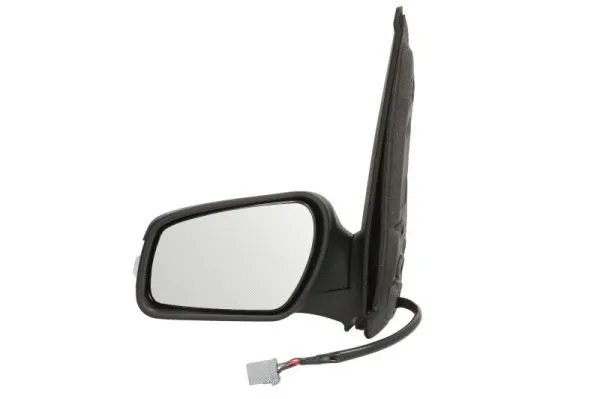 Exterior Mirror (5402-04-9223399P)