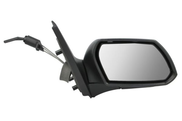 Exterior Mirror (5402-04-1138377)