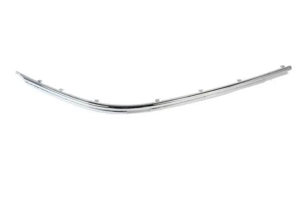 Trim/Protection Strip, bumper (5703-05-00659271P)