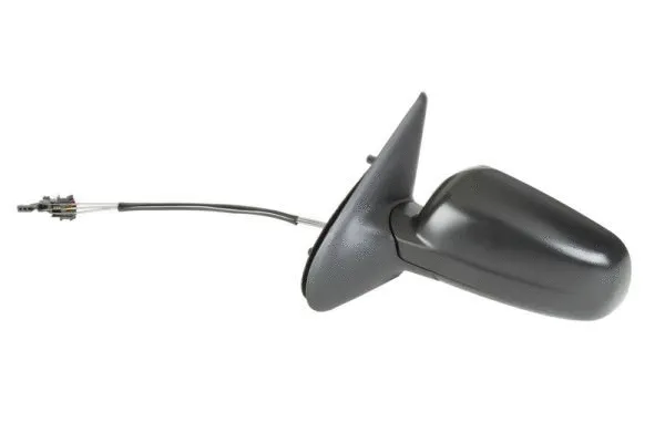 Exterior Mirror (5402-04-1112979P)