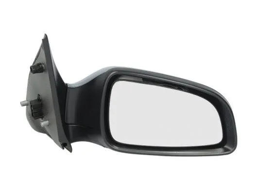 Exterior Mirror (5402-04-1139236P)