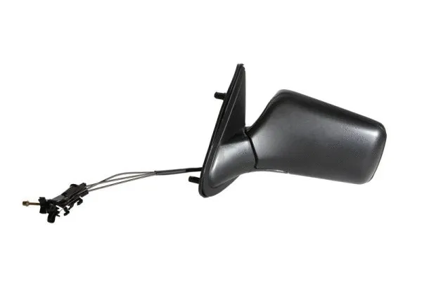 Exterior Mirror (5402-04-1112128P)