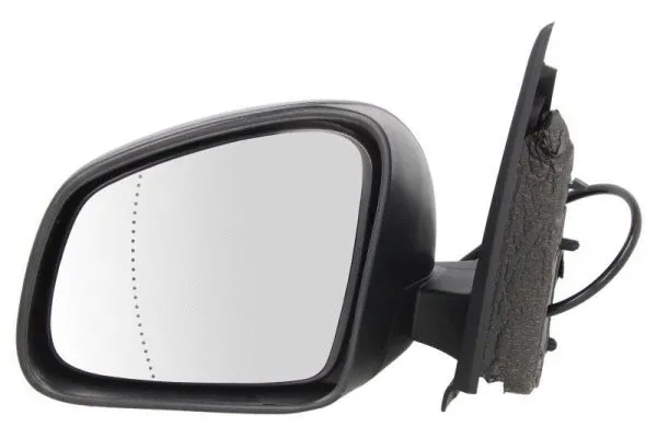 Exterior Mirror (5402-09-2002245P)