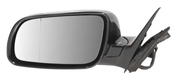 Exterior Mirror (5402-04-1125797)