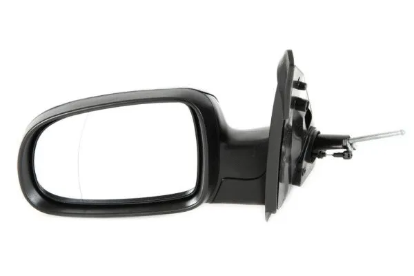 Exterior Mirror (5402-04-1197229P)