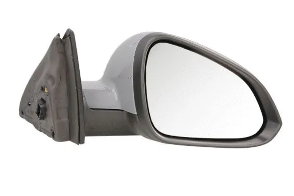 Exterior Mirror (5402-04-1119221P)