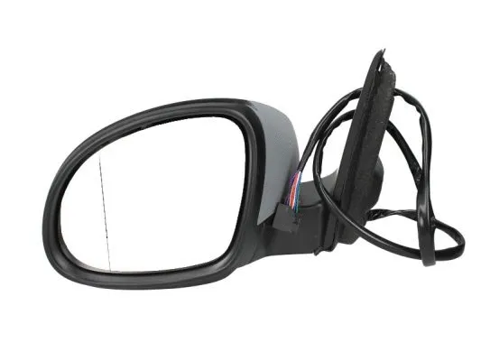 Exterior Mirror (5402-04-9929131)