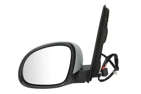 Exterior Mirror (5402-10-2002261P)